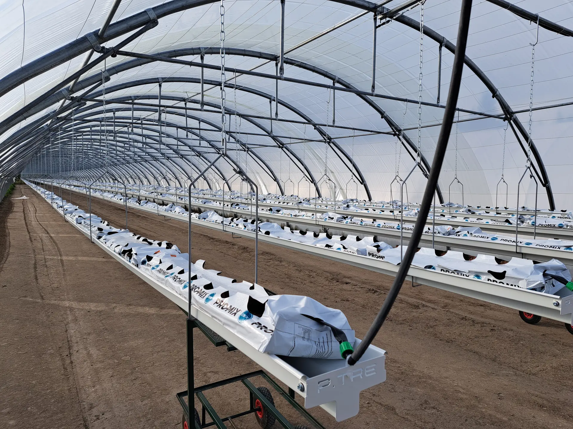 Tunnel de fraises hors sol avec station de pompage et fertigation, filtration automatique
