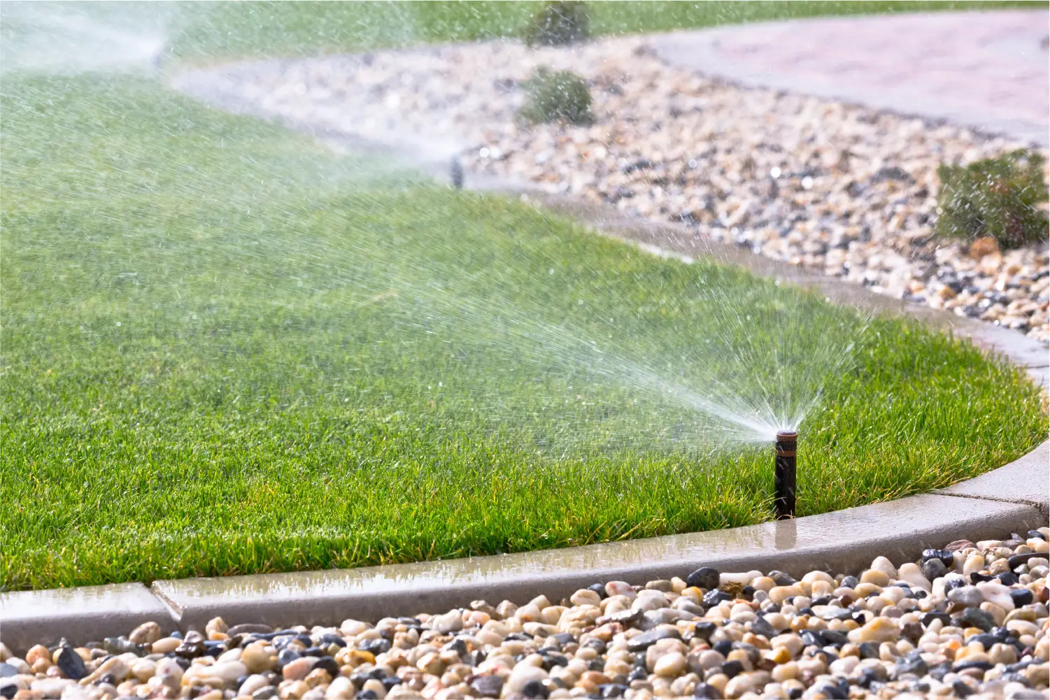 arrosage jardin